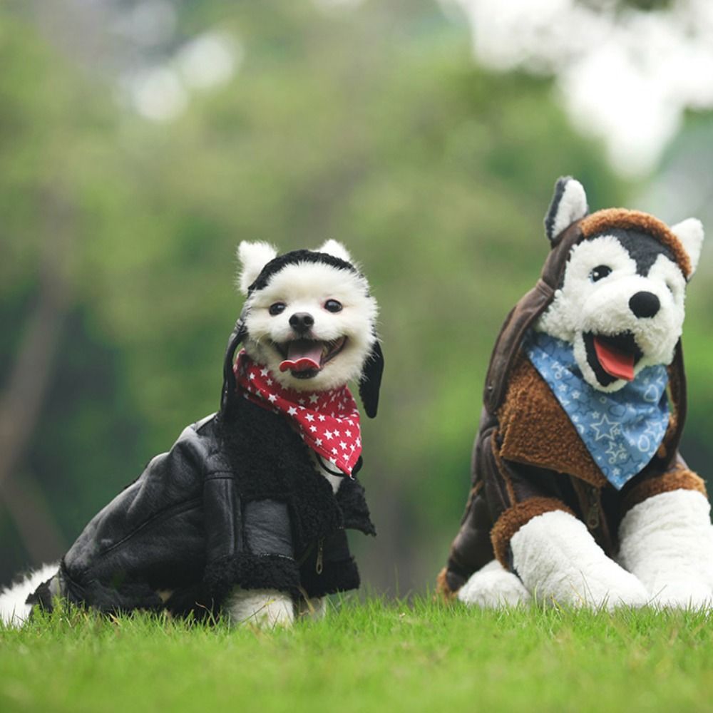 Jaket kulit anjing hangat, man - Motorcycle Gear Dogs ulasan dan harga