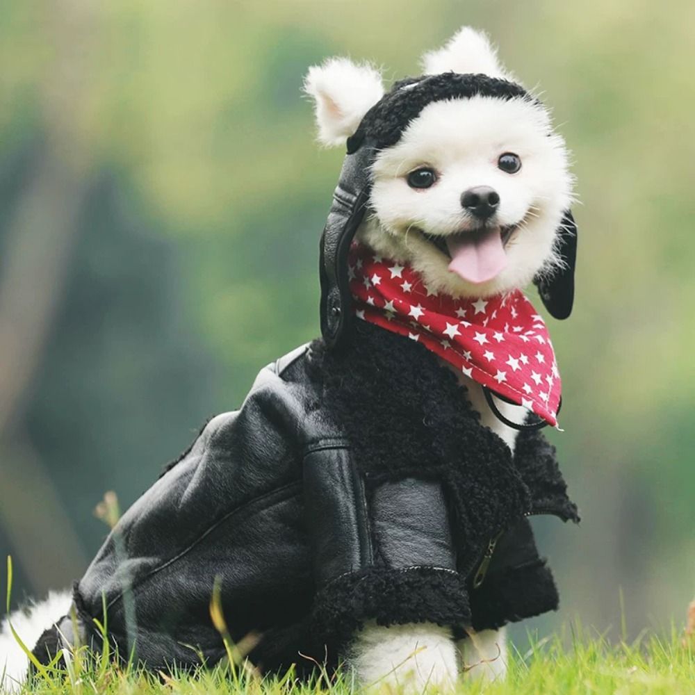 Jaket kulit anjing hangat, man - Motorcycle Gear Dogs ulasan dan harga
