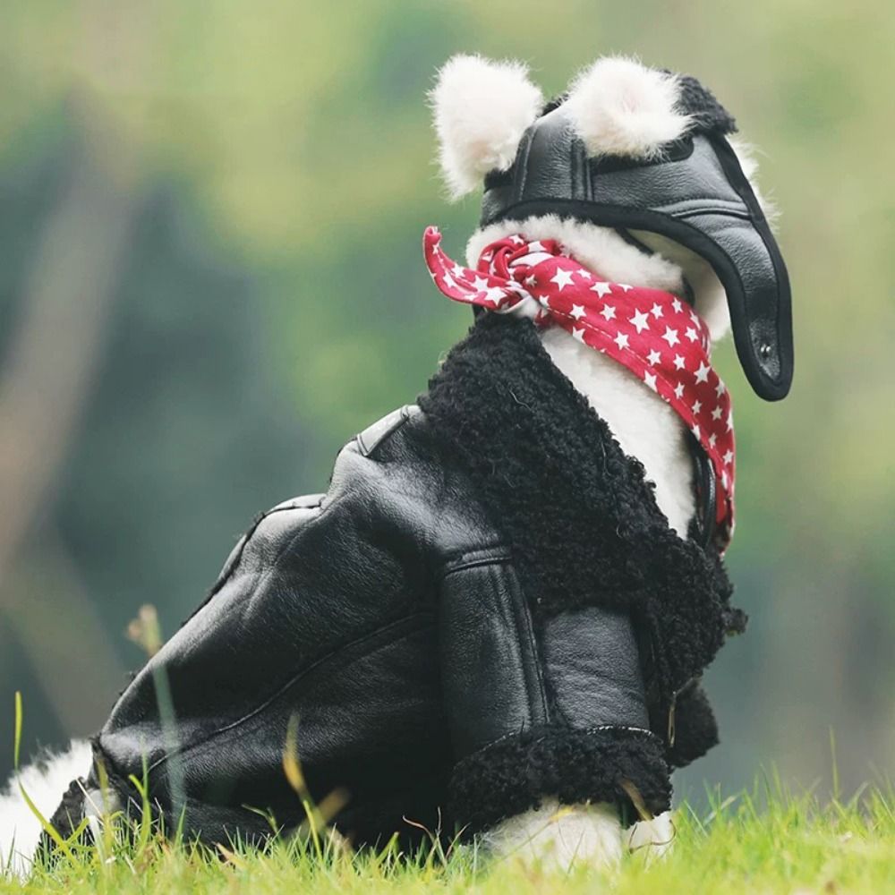 Jaket kulit anjing hangat, man - Motorcycle Gear Dogs ulasan dan harga