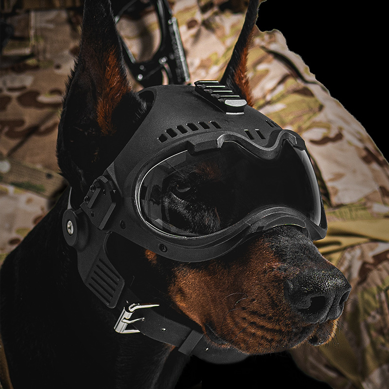 Helm Pelatihan Anjing Taktis K - Motorcycle Gear Dogs ulasan dan harga