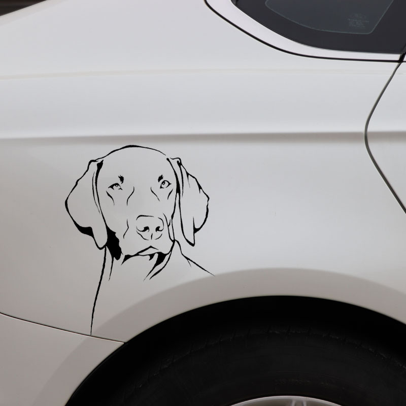 Stiker Vinyl PVC Tahan Air Ben - Motorcycle Gear Dogs ulasan dan harga