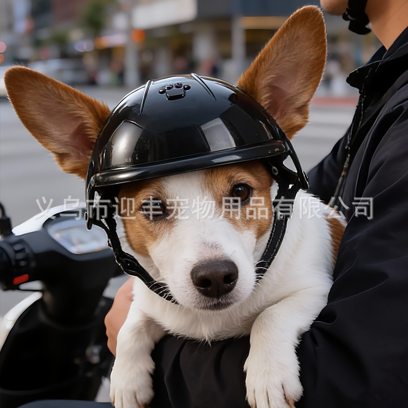 Helm Hewan Peliharaan Sepeda M - Motorcycle Gear Dogs ulasan dan harga