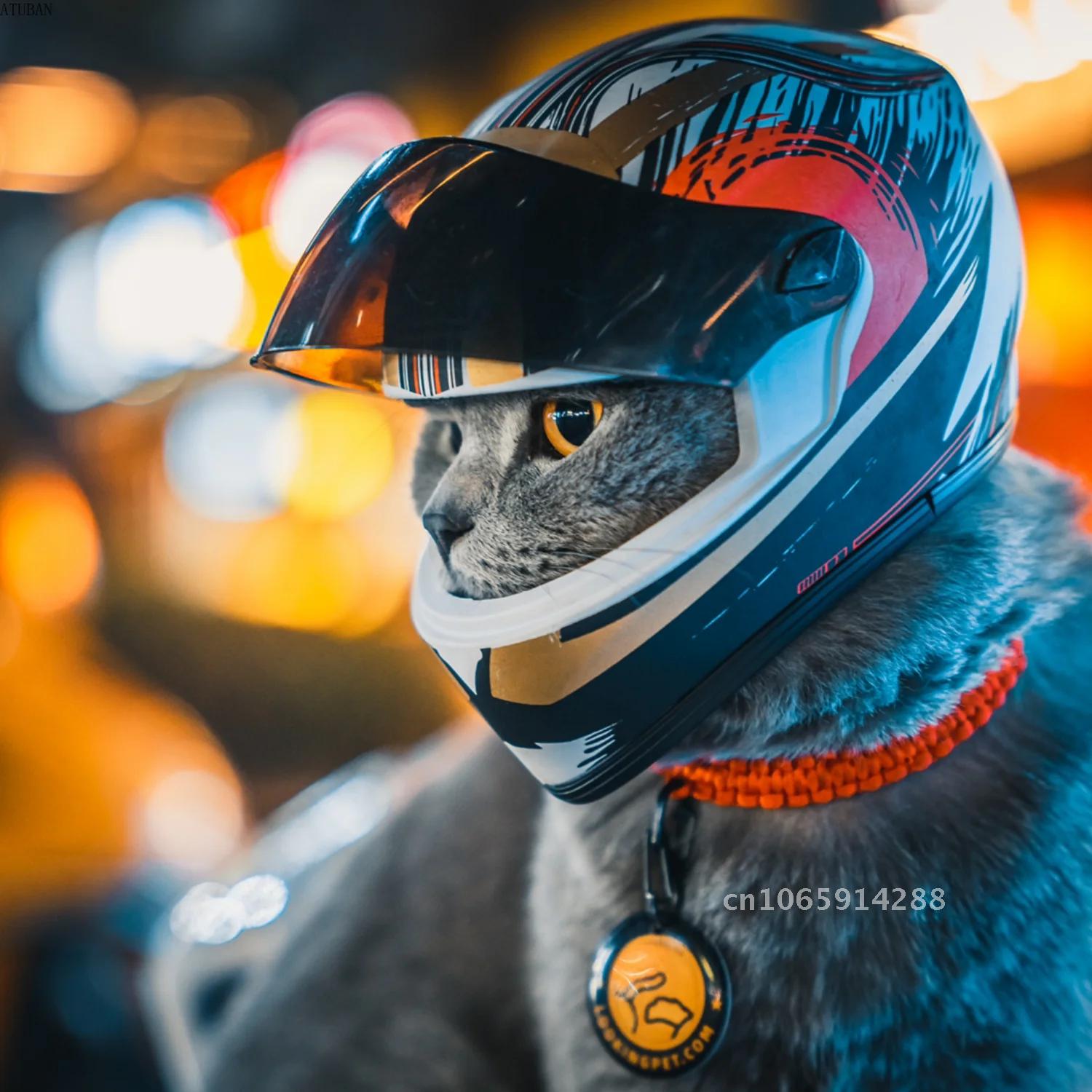 Helm Hewan Peliharaan, Helm Ku - Motorcycle Gear Dogs ulasan dan harga