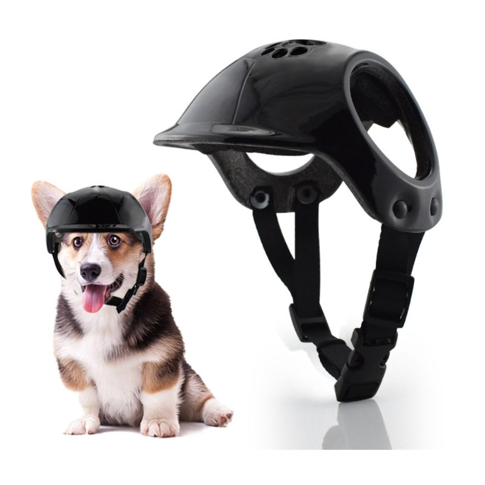 Helm Anjing Plastik dengan Lub - Motorcycle Gear Dogs ulasan dan harga
