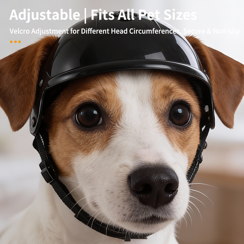 Helm Mini untuk Hewan Pelihara - Motorcycle Gear Dogs ulasan dan harga