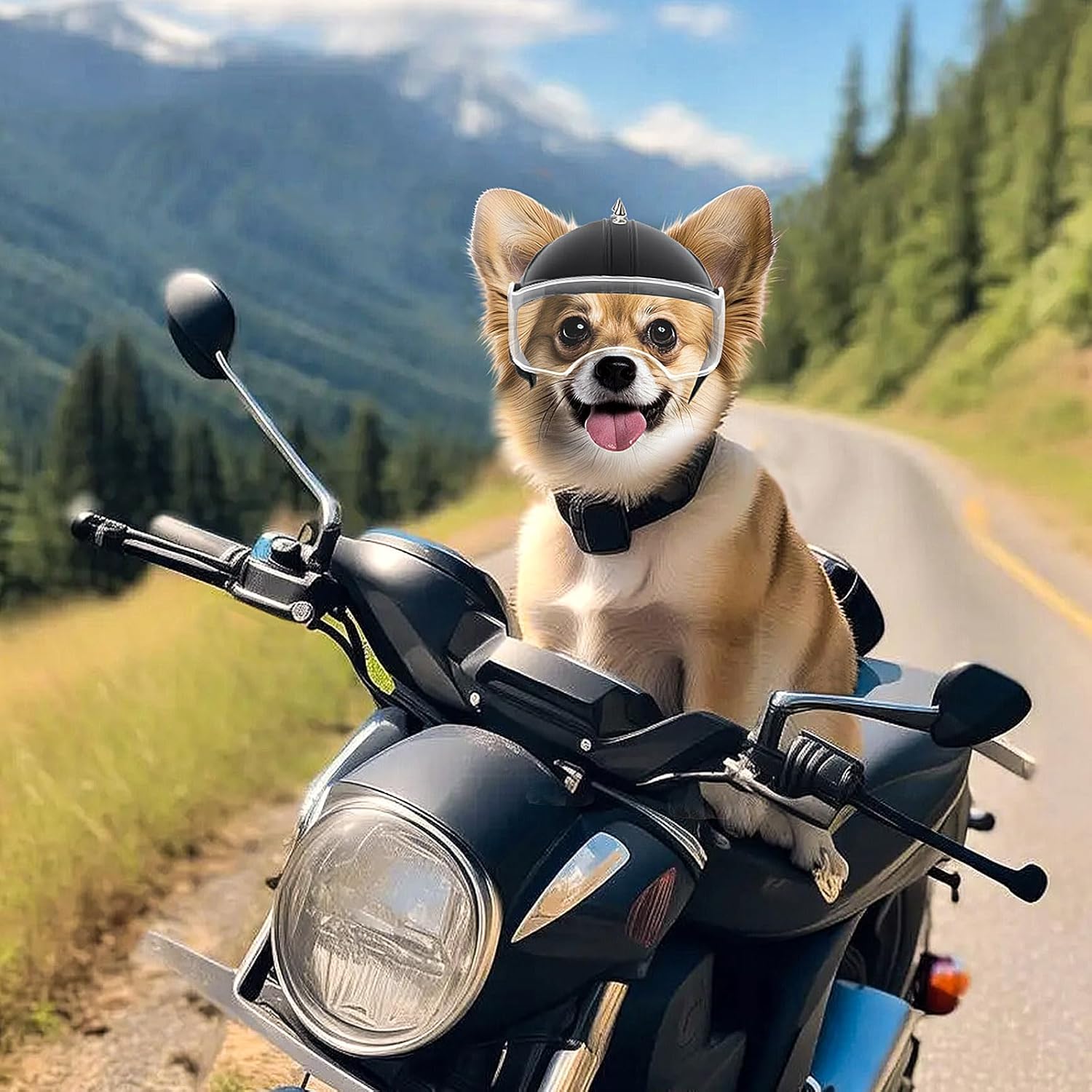 Helm Anjing Kecil Helm Motor H - Motorcycle Gear Dogs ulasan dan harga